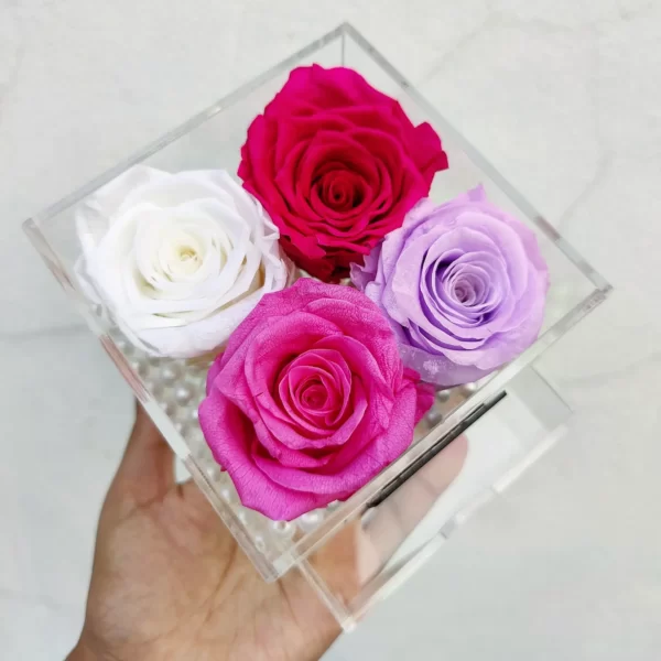 Four Forever Multi Colour Roses - Flowerwali