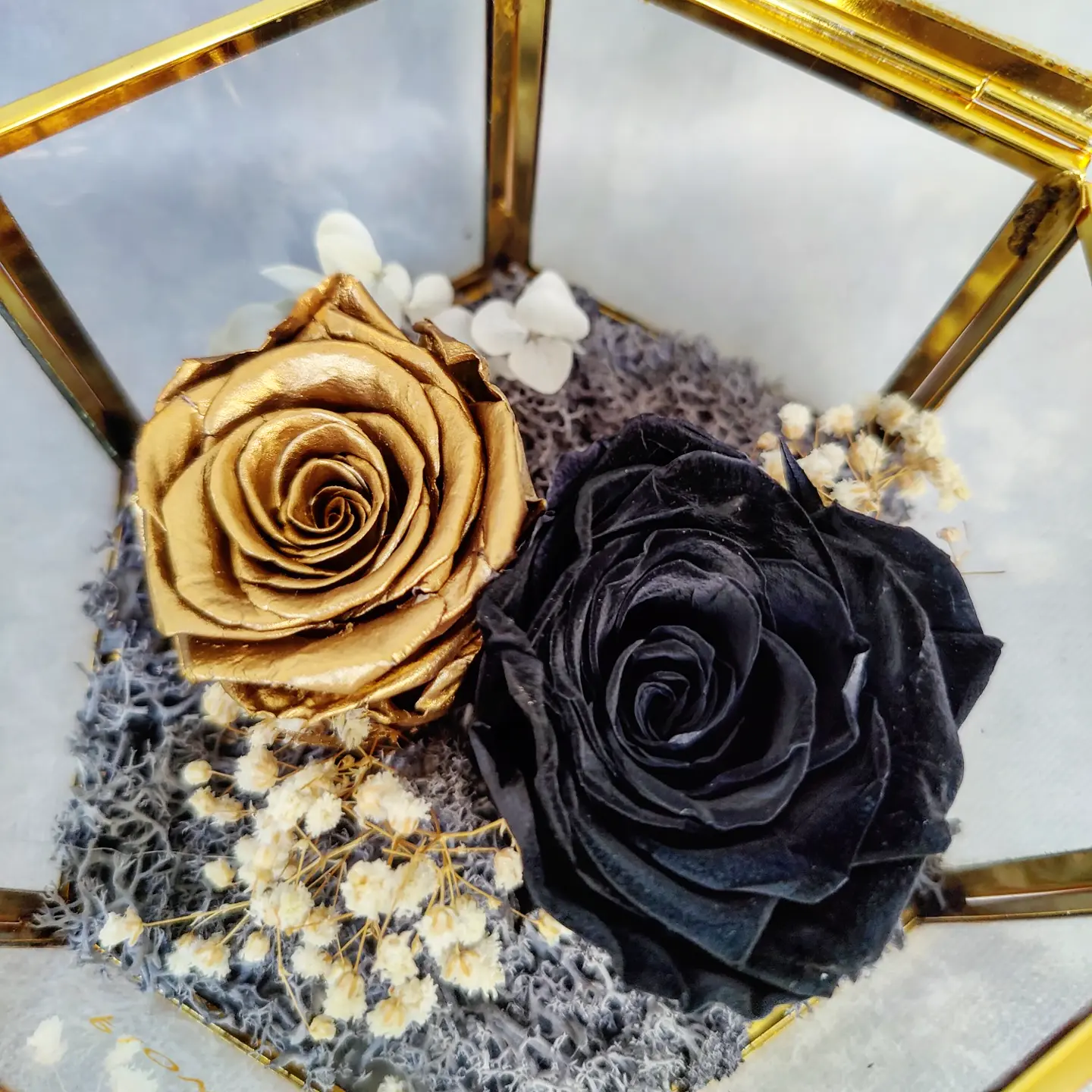 Rare Black Roses