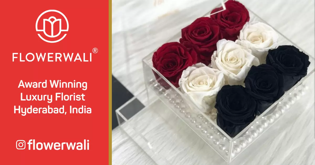 Rare Black Roses FlowerWali